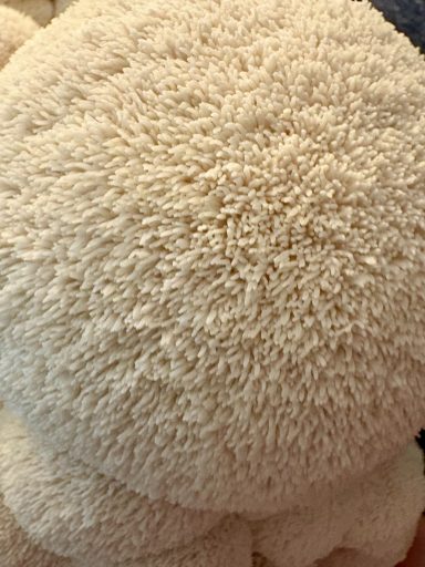 Lion's Mane - June 2026